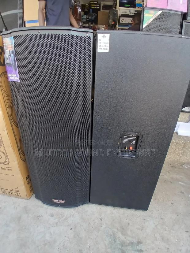 Pronak Fullrange Speaker · Photo 2