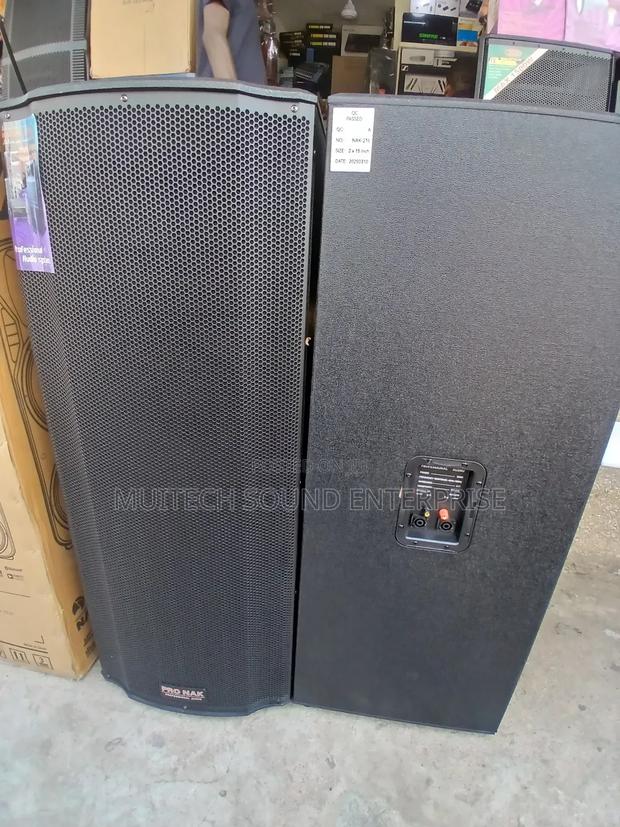 Pronak Fullrange Speaker · Photo 3