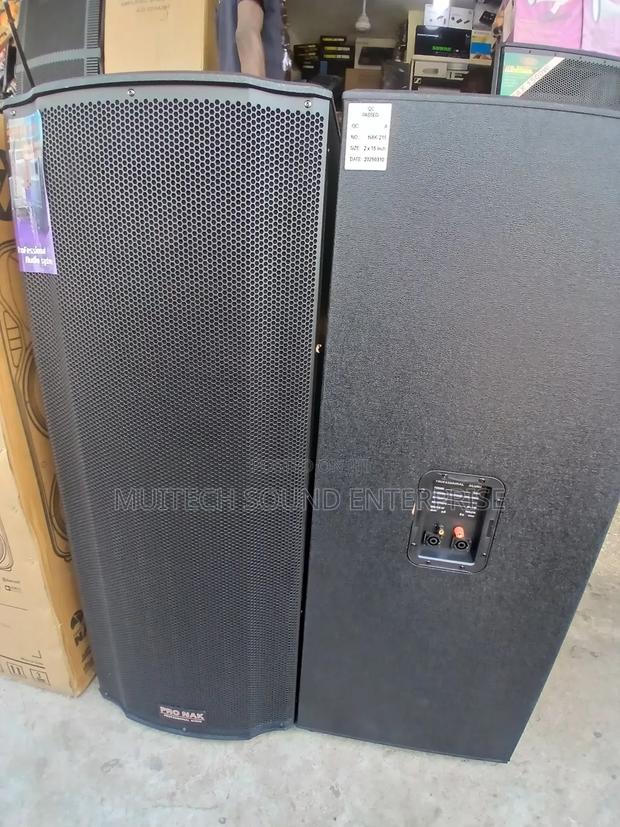 Pronak Fullrange Speaker · Photo 4