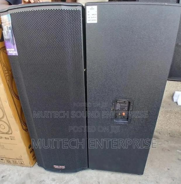 Pronak Fullrange Speaker · Photo 1