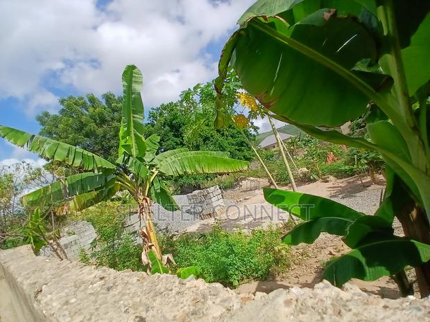 Two Plots of Land · Photo 6