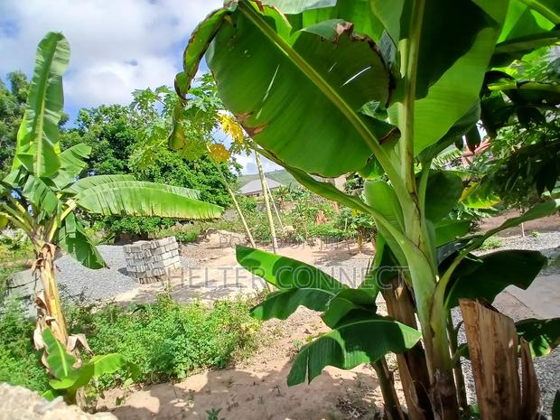 Two Plots of Land · Photo 8