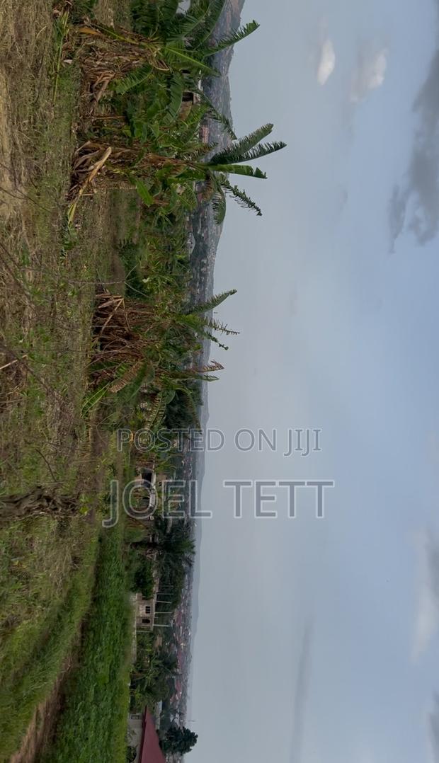 Nii Okuley Apesor 3 · Photo 5