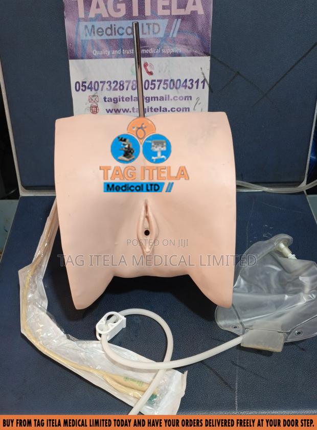Catheterization Manikin (Female) · Photo 2