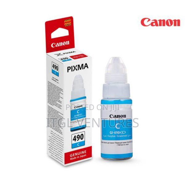 Canon Gi-490y Yellow and Gi-490c Cyan Ink · Photo 1
