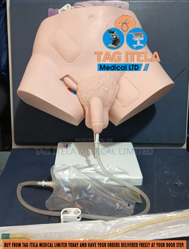 Catheterization Manikin (Male)