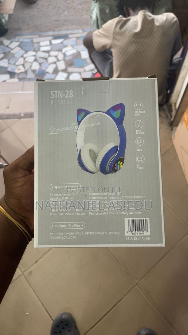 Big Cat Headset · Photo 2