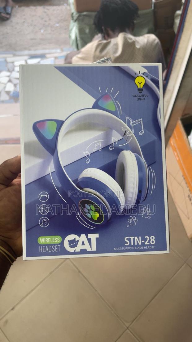Big Cat Headset · Photo 1