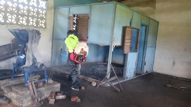 Schools Fumigation and Bedbugs Control With Cleantex · Photo 3