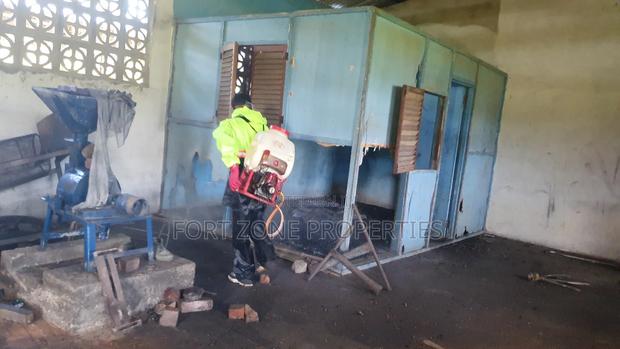 Schools Fumigation and Bedbugs Control With Cleantex · Photo 4
