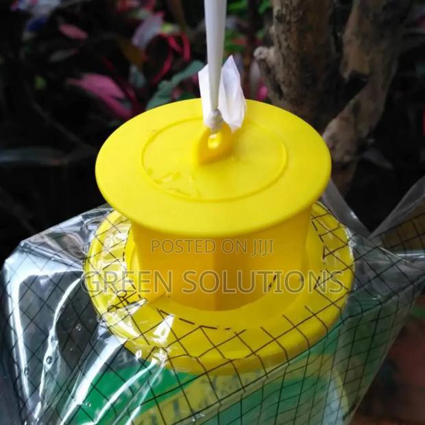 Houseflies Trap With Attractant · Photo 5