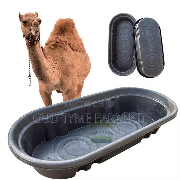 Cow and Camel Bowl · Photo 1