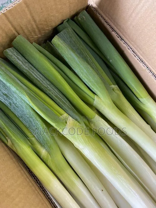 Fresh Leek · Photo 1