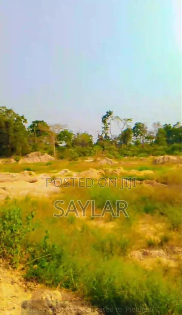 Virgin Land's for Gold Mining, for Lease and Sell · Photo 7