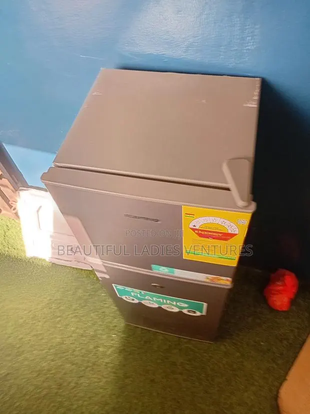 Flamino 80l Mini Fridge – Compact Yet Spacious · Photo 1