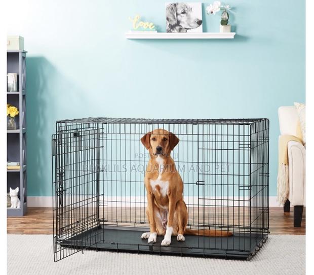 XXXXXL in and Outdoor Metallic Dog Cage (48 Inches) · Photo 2