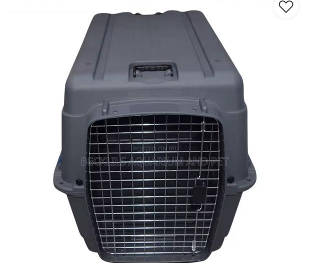 XXXL Bobbi Plastic Flight Cage · Photo 5