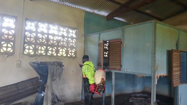 Asuofia-Adankwame Fumigation With Cleantex · Photo 3