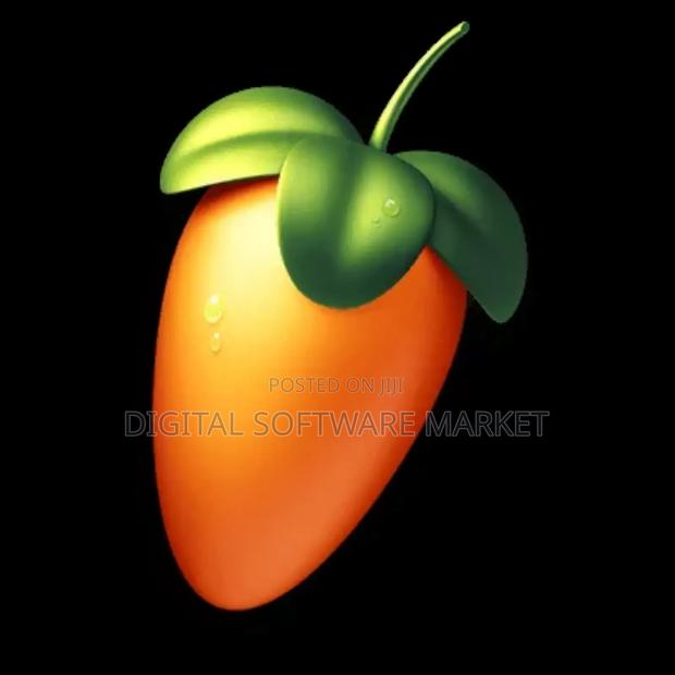 Fl Studio 2024+Flex Extension Windows · Photo 1