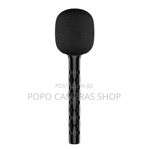Wireless Handheld Microphone Stick · Photo 3