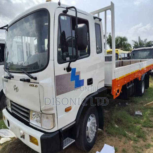 Hyundai Gold 5ton 2010 White · Photo 2