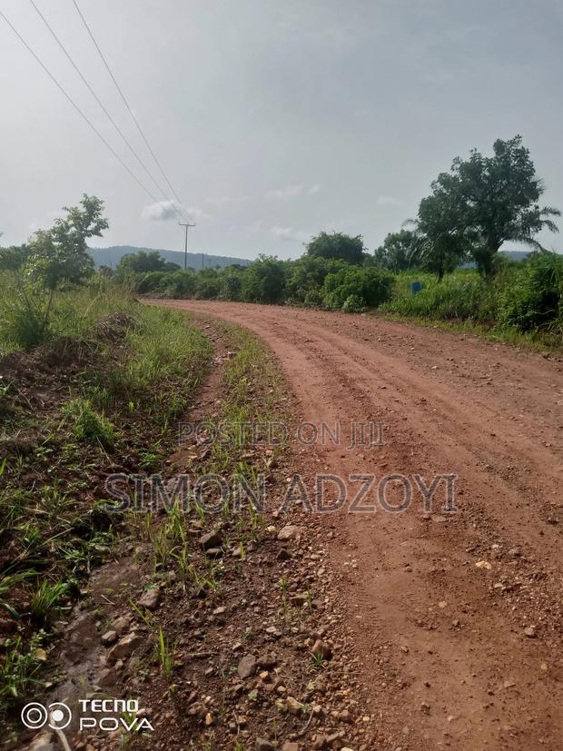 10,000 Acres Farmland for Sale · Photo 3