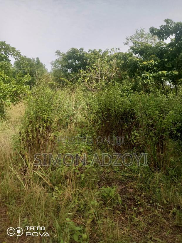 10,000 Acres Farmland for Sale · Photo 4
