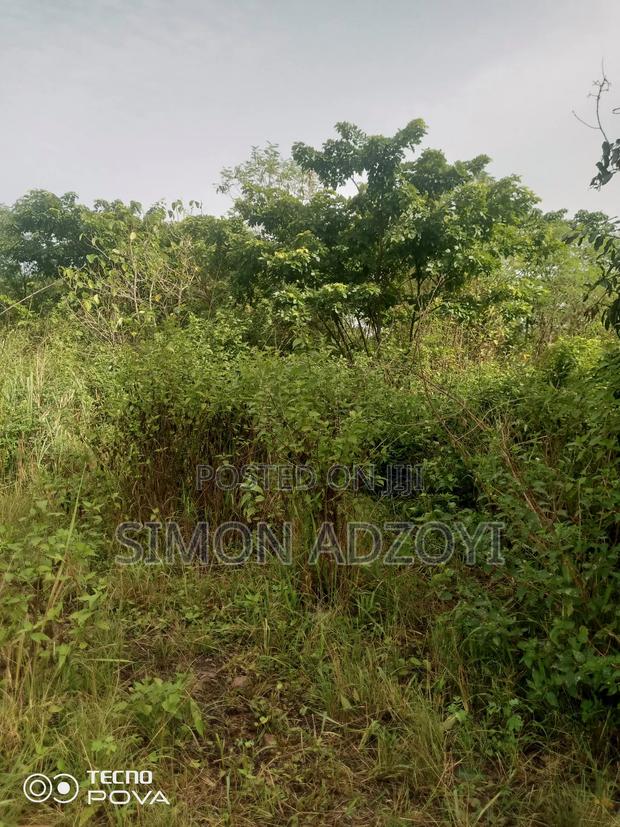 10,000 Acres Farmland for Sale · Photo 5