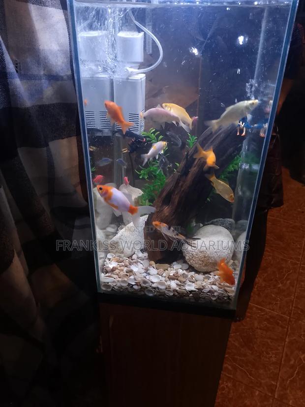 Mini Aquarium With Cabinet Stand · Photo 1