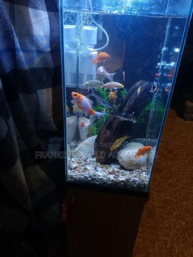 Mini Aquarium With Cabinet Stand · Photo 2