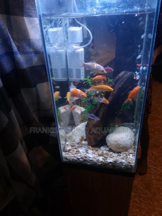 Mini Aquarium With Cabinet Stand · Photo 3