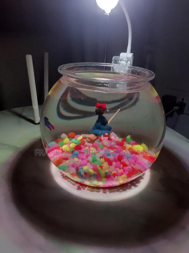 Mini Aquarium Bowl · Photo 1
