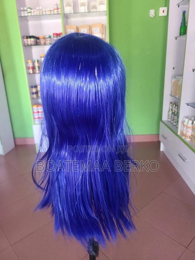 Blue Straight French Cut Wig · Photo 3