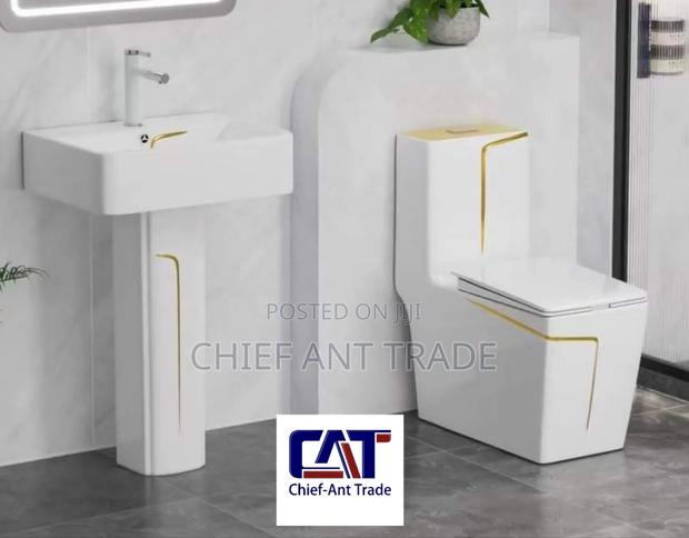 Toilet Seat Wc Water Closet With Basin · Photo 1