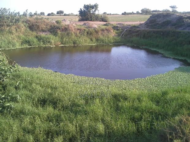 Virgin Gold And Farming Lands For Long Lease And Sale · Photo 1