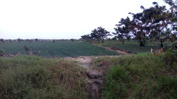 Farm Lands For Long Lease And Sale · Photo 1