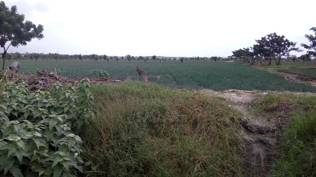 Farm Lands For Long Lease And Sale · Photo 2