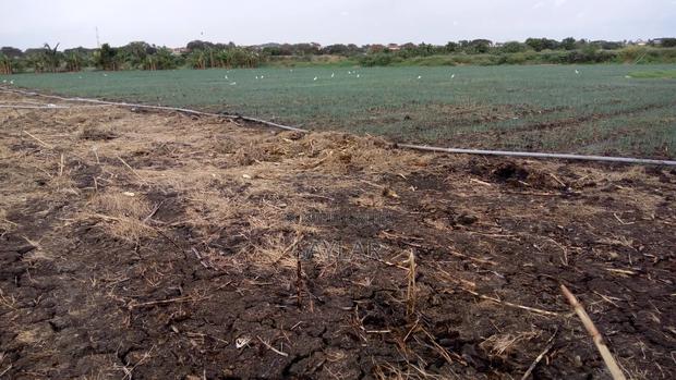 Farm Lands For Long Lease And Sale · Photo 4