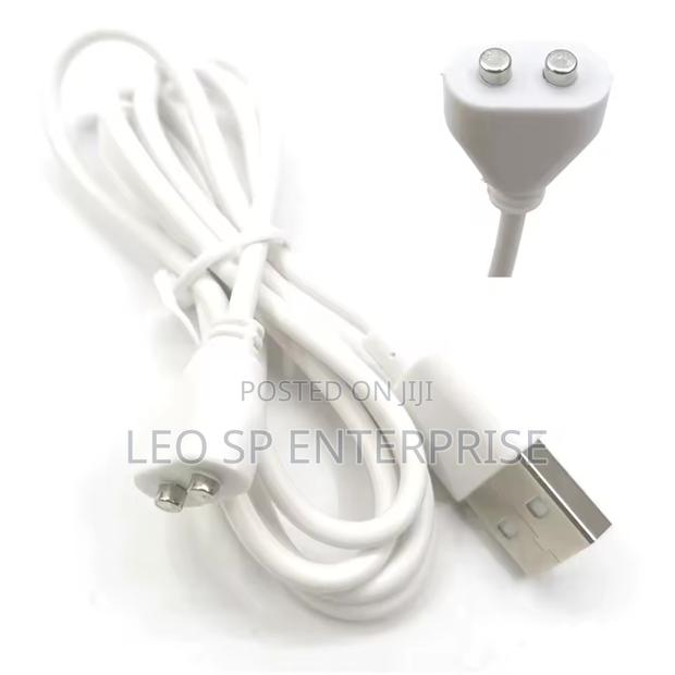 Magnetic Vibrator Charger · Photo 1