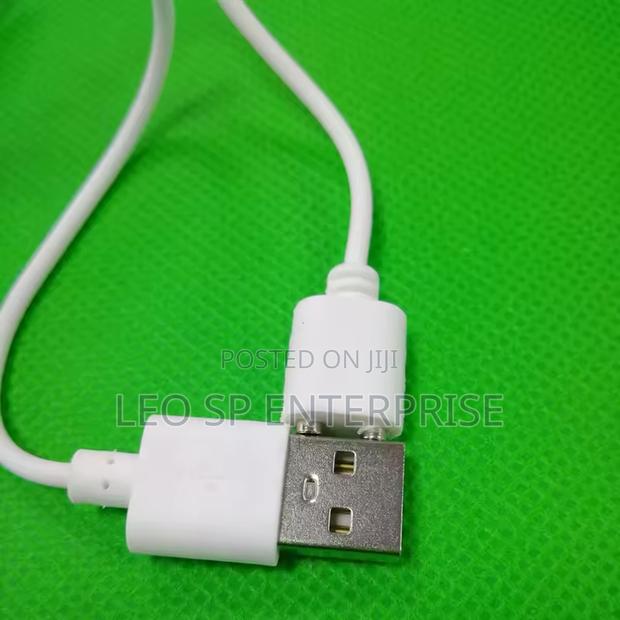 Magnetic Vibrator Charger · Photo 3