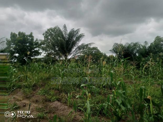 1000 Acres Available for Long Term Lease · Photo 2