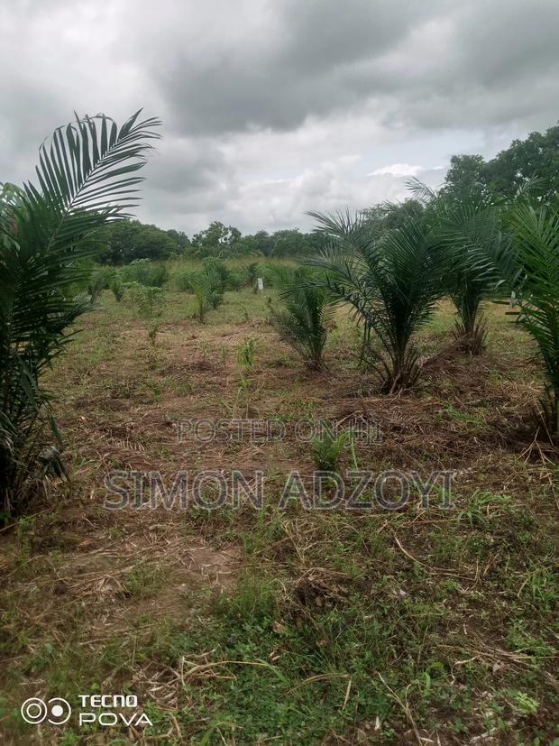 1000 Acres Available for Long Term Lease · Photo 3