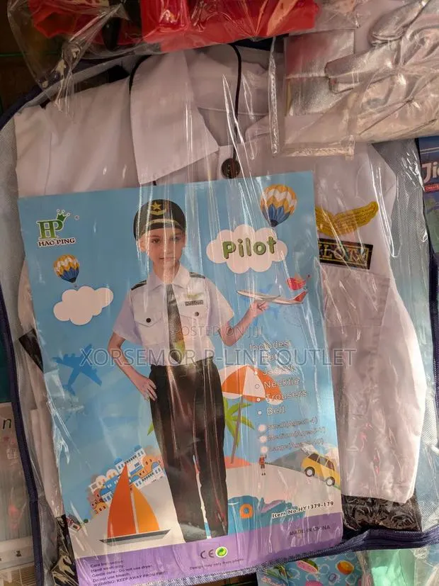 Pilot Career Day Costume · Photo 1