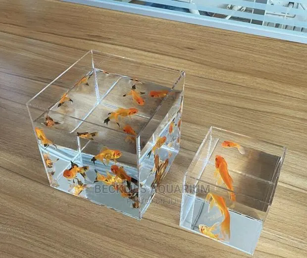 Small Aquariums With Fish · Photo 1