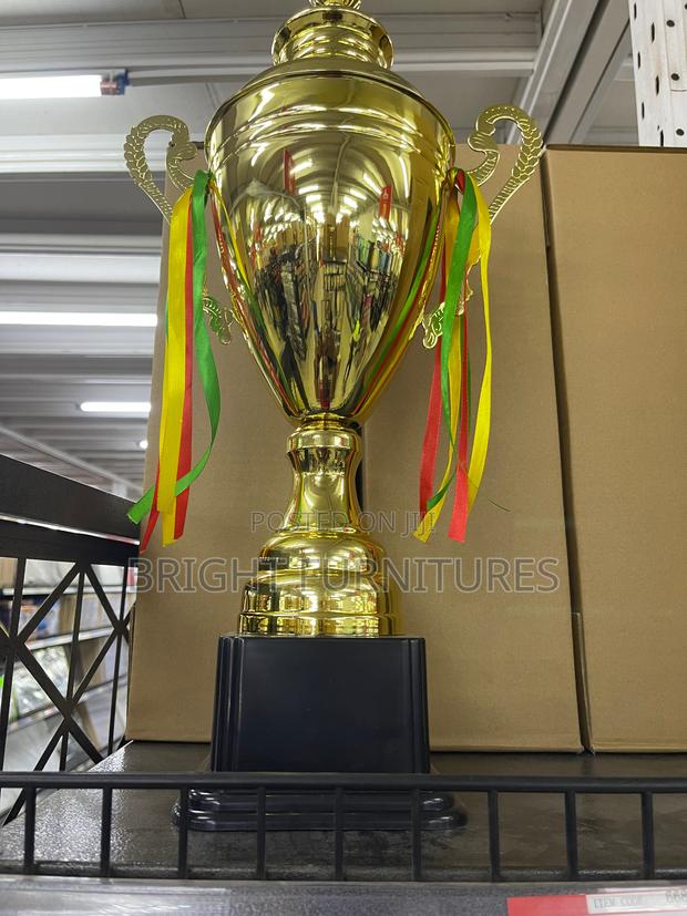 Award Trophy Cups for Rewards