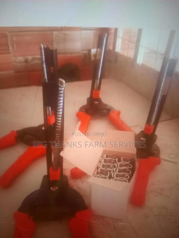 Pliers And Clips For Cage Construction · Photo 1