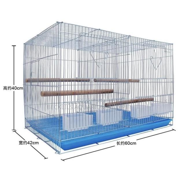 Spacious Borodin Birdcage · Photo 1