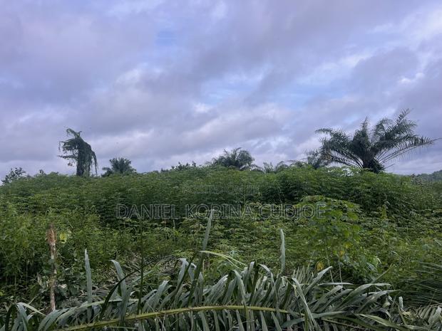 Lands for Sale · Photo 1