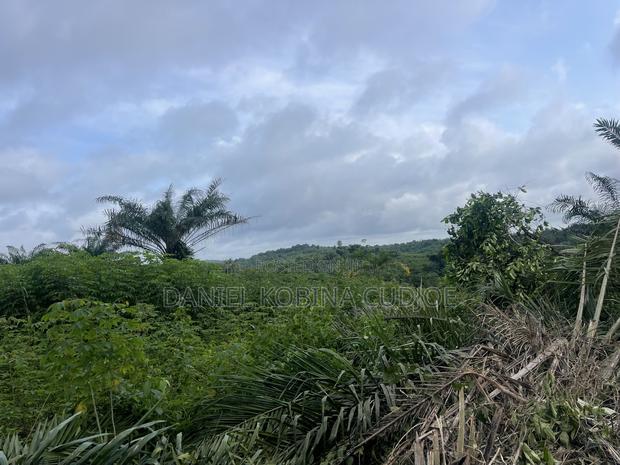 Lands for Sale · Photo 2