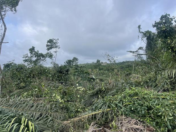 Lands for Sale · Photo 4